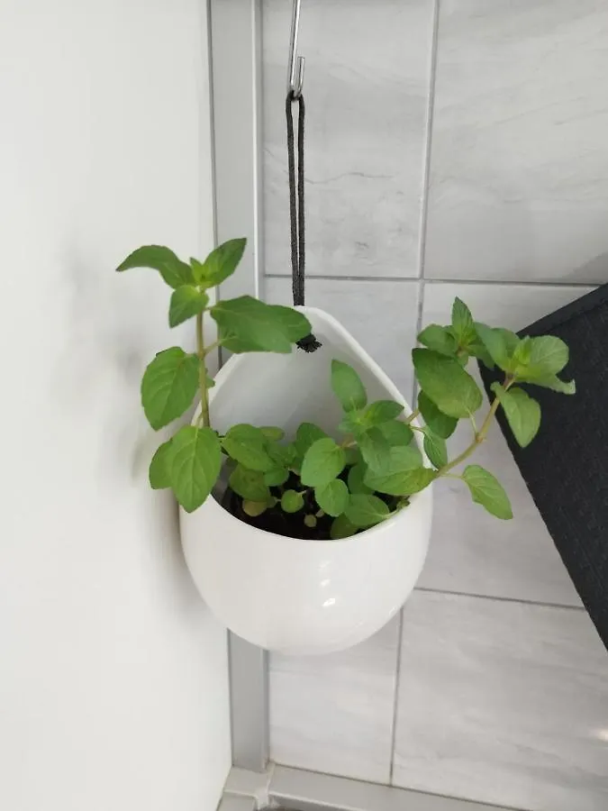 Antemma Apartment Pula
